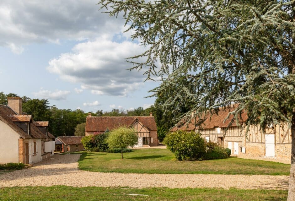 Au bord de l’étang